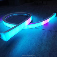 5 mètres de bande LED intelligente en silicone 40mm de largeur 5050 pixels RVB linéaire Led Neon Solutions d'éclairage pour galerie d'art
