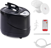 Machine à vapeur portable 3L à chauffage rapide pour sauna domestique, réglable en temps et en température, pour sauna à vapeur, thérapie de la tête, SPA, bain de vapeur
