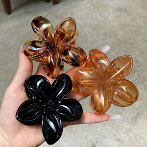 Ensemble de pinces à <span class=keywords><strong>cheveux</strong></span> fleur d'oeuf violet Bauhinia <span class=keywords><strong>pince</strong></span> requin pour tête arrière accessoires pour <span class=keywords><strong>cheveux</strong></span> de fille en plastique résine - Product Image 2