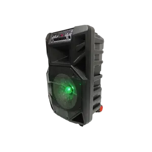 Hoge Kwaliteit Sound System Trolley Speaker Draadloze Microfoon Draagbare Speaker Met Scherm