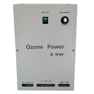 China Supply 300G 500G 1000G Ozon Generator Luchtreiniger Waterbehandeling Keramische Plaat Spa Plaat Ozon Generator