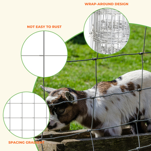 4ft x 165ft Hot Dipped Galvanized Wire Field Fence 6x6 Inch <b>Mesh</b> Hinge Joint Cattle Fence - Product Image 3