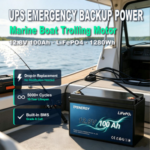Batterie LiFePO4 TPENERGY 12V 100Ah à décharge profonde pour alimentation de secours UPS, moteur de pêche à la traîne pour bateau marin - Product Image 1
