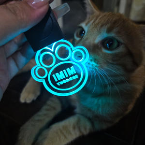 Kustomisasi pribadi dari lampu keamanan jalan malam hewan peliharaan dan ukiran Laser nama hewan peliharaan Led Tag anjing - Product Image 1