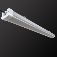 Lumière LED Tri-Proof industrielle 4ft 2ft 18W 36W Télécommande Gradation Haute Protection Entrepôt Extérieur