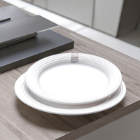 Plaque en acétate de portable, assiette blanche en mélamine de qualité européenne bon marché