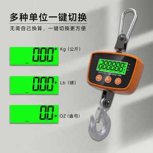 WH-C04 500 किलोग्राम पोर्टेबल इलेक्ट्रॉनिक क्रेन स्केल वेइहेंग डिजिटल एलसीडी डिस्प्ले ओम अनुकूलन योग्य औद्योगिक पैमाने - Product Image 5