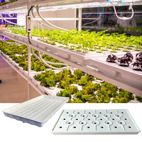 Vente en gros plateau de semis table plastique ABS clonage plateaux de légumes avec couvercle système hydroponique pour l'agriculture verticale en intérieur