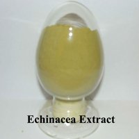 Poudre d'extrait d'échinacée naturelle de bonne qualité, relative à la marguerite, pour la santé immunitaire et les compléments contre les rhumes