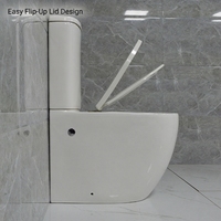 WC mural à raccordement direct certifié MWD WaterMark, chasse d'eau à décharge directe, siphon en S 100-190 mm, siphon en P 180 mm, pour hôtel