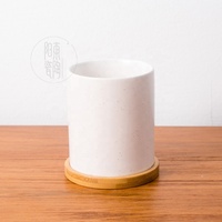 Usine personnalisé rétro en céramique petit cactus pot tapis blanc succulentes support pots de fleurs avec plateau en bambou