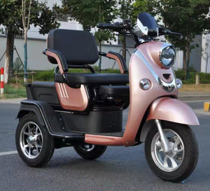 โรงงานผลิตสกู๊ตเตอร์ไฟฟ้า 3 ล้อ 500 วัตต์ สำหรับผู้ใหญ่ - Product Image 4