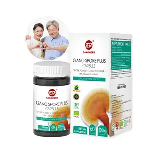 Extract Powder Capsule Supplement Ganoderma Lucidum For Immune Support