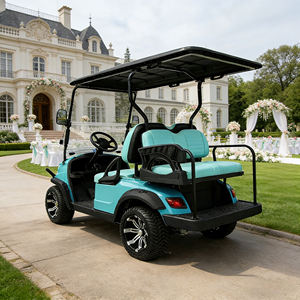 Carrello da Golf Elettrico WOLAN da 560kg con Vano Portaoggetti per Giardino, Outlet di Fabbrica - Product Image 3