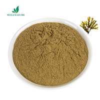 Extracto Natural Puro de Fucus Vesiculosus en Polvo, Suministro de Fábrica, Algas Marrones con 0.5% de Yodo, Polvo de Fucoxantina, Extracto de Alga Marina