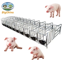 Équipement d'élevage porcin pour truies gestantes : Caisse de mise bas en acier galvanisé à chaud avec longues cages pour animaux, équipement porcin, enclos à porcs