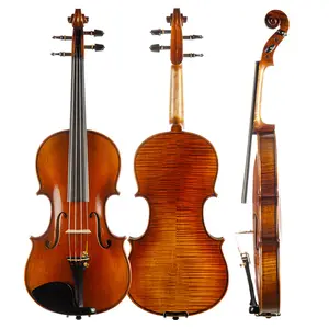 CHRISTINA Famous Brand Solid Wood Violin Set with Spruce Face and Brazil Wood Bow Includes Case and Strings