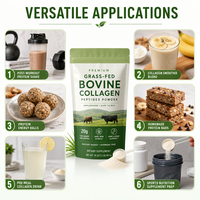 Collagène bovin nourri à l'herbe en poudre, peptides de collagène de type I et III hydrolysés pour la récupération musculaire, la densité osseuse et la régénération cutanée