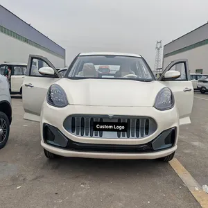 2024 Popular Low-speed Upgrade Four-wheel Eco-friendly ChuangRuiSi Custom Mini EV Mini Electric Vehicle