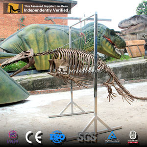 MY DINO DS-135 Amazing Science Museum Dinosaur Skeleton Mosasaur Exhibition - Product Image 6