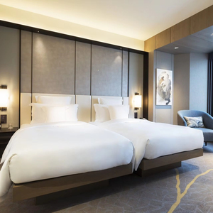 Set di mobili completi di qualità per Hotel di lusso a 5 stelle per la casa per la camera degli ospiti e la camera da letto di lusso - Product Image 3