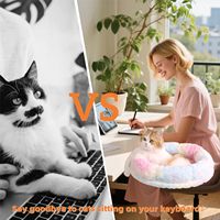 Cadre en métal solide et pince pliable perchoir de chat hamac de chat monté sur lit de bureau avec couvertures lavables pour le bureau à domicile