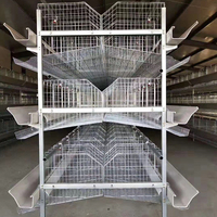 Nuevo Equipo de Cría de Aves de Corral, Jaula de Malla para Pollos, Marca NORTH&HUSBANDRY, Modelo 50 Pulgadas, 1 Año de Garantía
