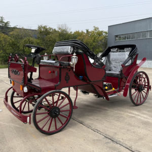 Carruaje Real de Estilo Europeo, Carruaje Eléctrico para Bodas, Vagón de Acero, Transporte Especial para Turismo - Product Image 1