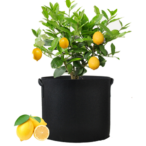 <span class=keywords><strong>Maceta</strong></span> <span class=keywords><strong>de</strong></span> vivero extra grande <span class=keywords><strong>de</strong></span> 20-45 galones para cultivo <span class=keywords><strong>de</strong></span> frutas y verduras, bolsa <span class=keywords><strong>de</strong></span> tela no tejida, Material <span class=keywords><strong>de</strong></span> fibra vegetal para jardinería <span class=keywords><strong>de</strong></span> flores - Product Image 3