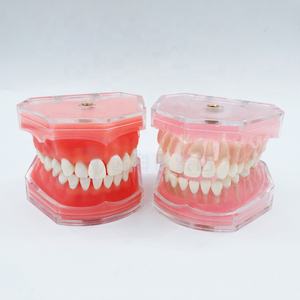 Dentale denti rimovibili modello gomma morbida - Product Image 5