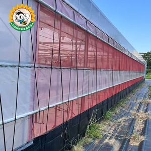 Bahçe Arısı Yüksek Performanslı Işık Geçirmez Sera Böcek Ağı Yaşlanma Karşıtı Havalandırmalı Böcek Önleyici File - Product Image 1