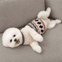 Ensemble de vêtements pour animaux de compagnie, pull en tricot torsadé Fair Isle nordique assorti pour chien et propriétaire, vente en gros personnalisée ODM OEM