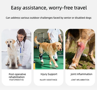 Attelle Orthopédique Réglable pour Chiens : Soutien Double pour les Pattes Arrière, Idéale pour la Rééducation Post-Opératoire et la Récupération des Blessures - Vente en Gros
