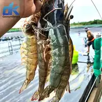 Shrimp Pond Liner, Aquaculture, Fish Farming