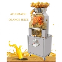 Distributeur automatique de jus d'orange en libre-service, en acier inoxydable, capacité de 30 kg, système de pressage automatique, haute rentabilité