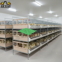 Nouvelles boîtes à poussins AYTAV en plastique avec couvercle, cages pour volailles et animaux, type H, capacité de 100 poussins, longue durée de vie, 64,5x46cm, température
