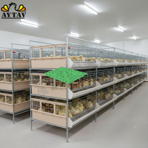 Nuevas Cajas de Plástico AYTAV con Tapa para Pollitos, Jaulas para Aves de Corral Tipo H, Capacidad para 100 Pollitos, Larga Vida Útil, 64.5x46cm, Temperatura - Product Image 3