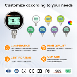 <span class=keywords><strong>Manomètre</strong></span> numérique électrique Moray ME460 Series OBM ODM à affichage 5 chiffres, haute précision, en acier inoxydable - Product Image 6