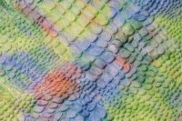 Tissu en peluche courte à dégradé de couleurs, motif dinosaure crocodile, tissu en peluche courte pour costumes de scène et jouets de poupée