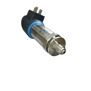 Interruptor Económico E+H Ceraphant PTP31B con Sensor de Diafragma Metálico Soldado - Product Image 2