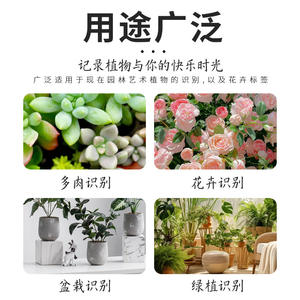 Etiqueta de plástico rectangular, resistente al agua, grabable, duradera, para decoración de jardín y oficina - Product Image 5