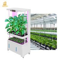 Système de culture hydroponique intelligent pour plantes d'intérieur, herbes aromatiques et myrtilles, avec lumière de croissance LED et cycle d'arrosage automatique réglable