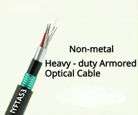Kabel Serat Optik Luar Ruangan 4 Core GYTA53, Jaket Ganda, Lapis Baja Ganda Aluminium & Baja, Kabel Terpendam Langsung