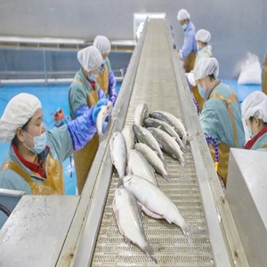 Bon prix Ligne de production d'huîtres de crevettes de poisson de <span class=keywords><strong>mer</strong></span> en conserve Sardine Machine de mise en conserve de transformation de maquereau - Product Image 3