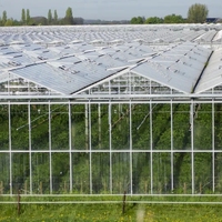 Serre agricole professionnelle de grande taille en verre, structure multi-voûtes avec système de contrôle environnemental complet