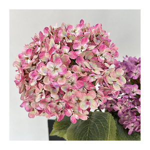 <span class=keywords><strong>Hortensia</strong></span> Artificial realista <span class=keywords><strong>de</strong></span> 240 piezas, <span class=keywords><strong>Hortensia</strong></span> con plantas <span class=keywords><strong>de</strong></span> frijol para decoración del hogar, entrega rápida, <span class=keywords><strong>precio</strong></span> <span class=keywords><strong>de</strong></span> fábrica - Product Image 3