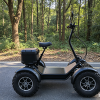 LEODOO Nouveau Buggy Tout-Terrain Électrique 4x4 pour Adultes, Pliable, Type Voiturette de Golf, Autonomie 80 km, Vitesse 50-70 km/h