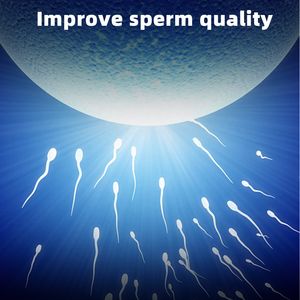 पुरुषों की वयस्क प्रजनन टेबलः प्राकृतिक कार्बनिक मका और जिनसेंग, निजी लेबल, 60 टैबलेट/बोतल - Product Image 3