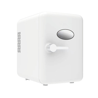 Mini-Réfrigérateur Intelligent Portable de 4 Litres pour Cosmétiques et Soins de la Peau, Petit Bar, pour Voiture