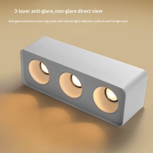 <span class=keywords><strong>Spot</strong></span> <span class=keywords><strong>LED</strong></span> COB apparent en fer avec température de couleur 3000K-6000K pour l'éclairage de plafond des halls d'entrée, balcons, couloirs et couloirs intérieurs - Product Image 2